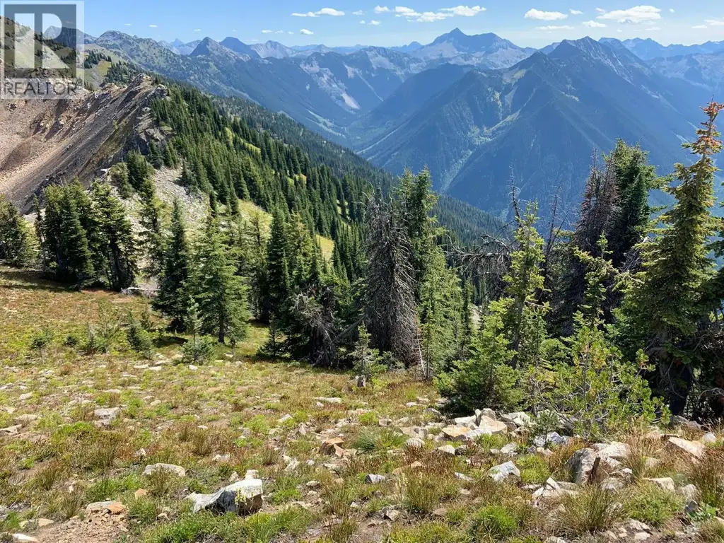 593, 594, 595, 1848, 1850 Mt. Payne Fsr, Sandon