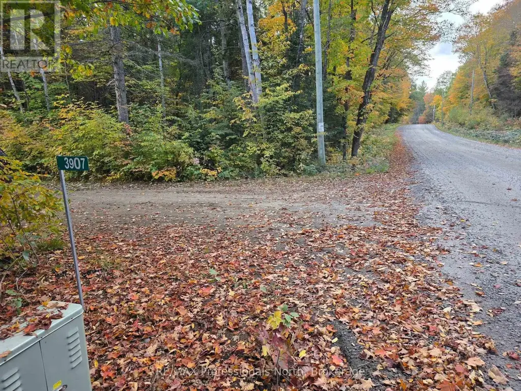 3907 Stisted Road, McMurrich/Monteith (McMurrich)