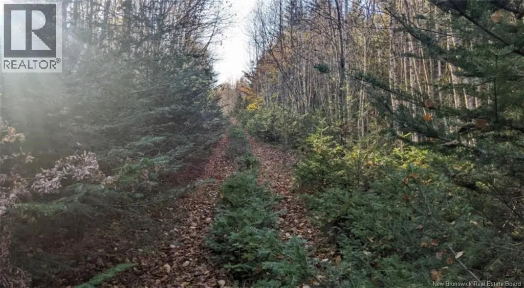 Photo of Listing #NB149070