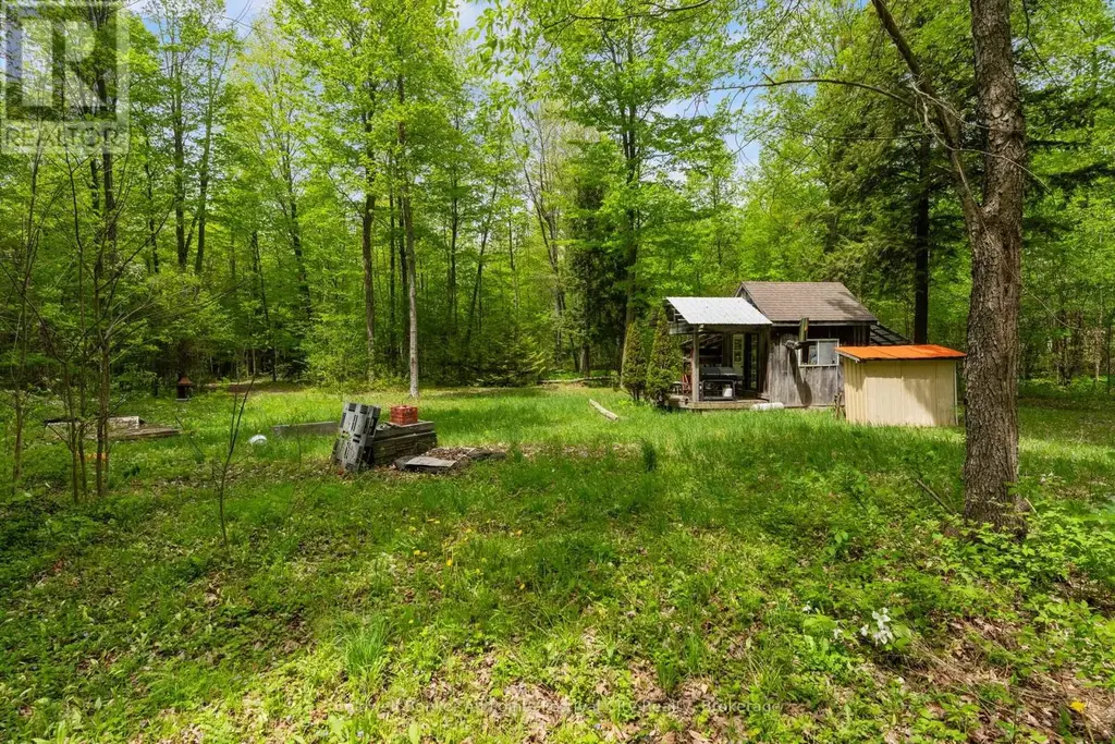 36718 River Road, Ashfield-Colborne-Wawanosh (Ashfield)