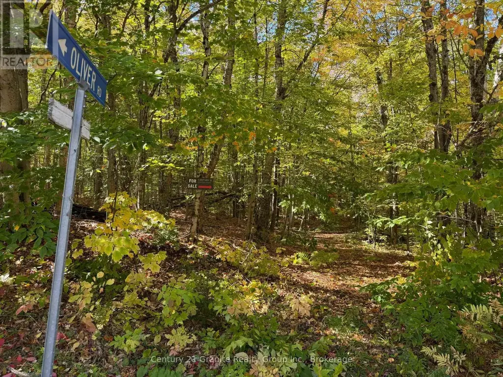 00 Kushog Lake Road, Algonquin Highlands (Stanhope)