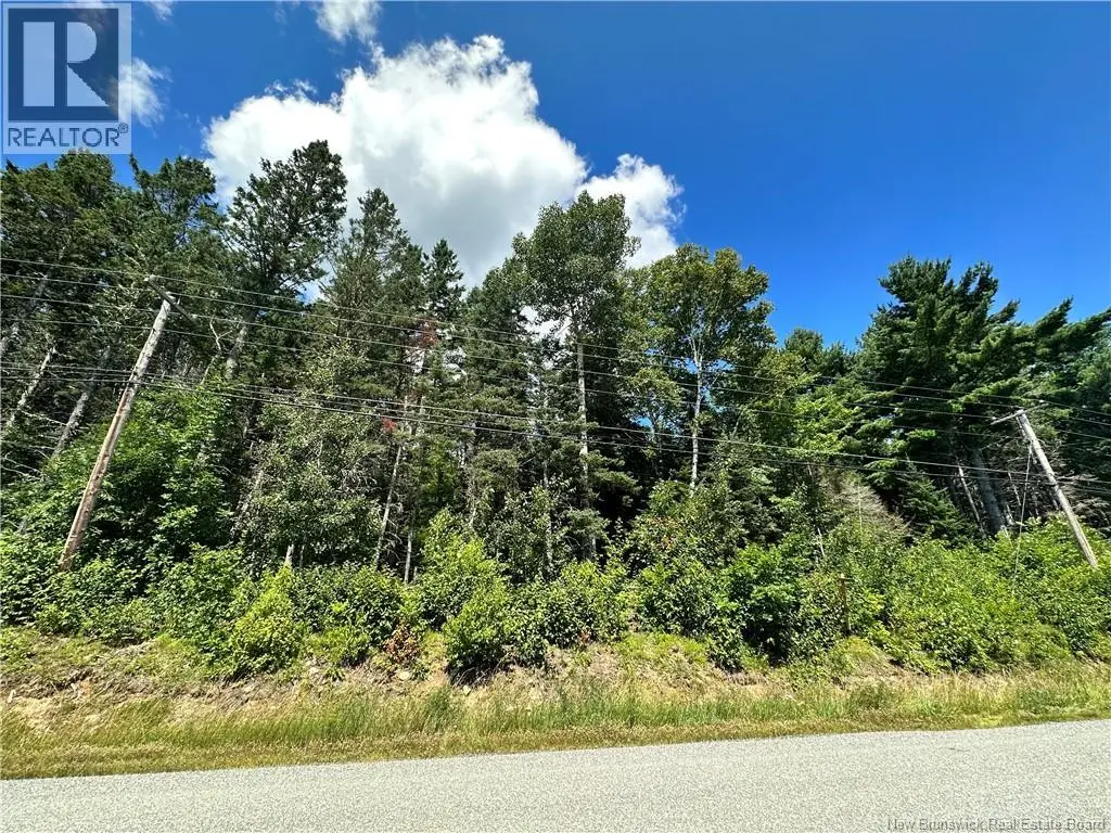 Photo of Listing #NB149226