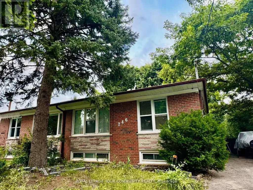 Apt A - 246 Elka Drive, Richmond Hill (Crosby)