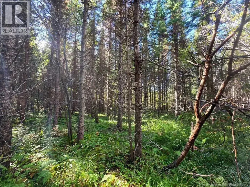 Lot 25-3 Mulligan Road, Fundy