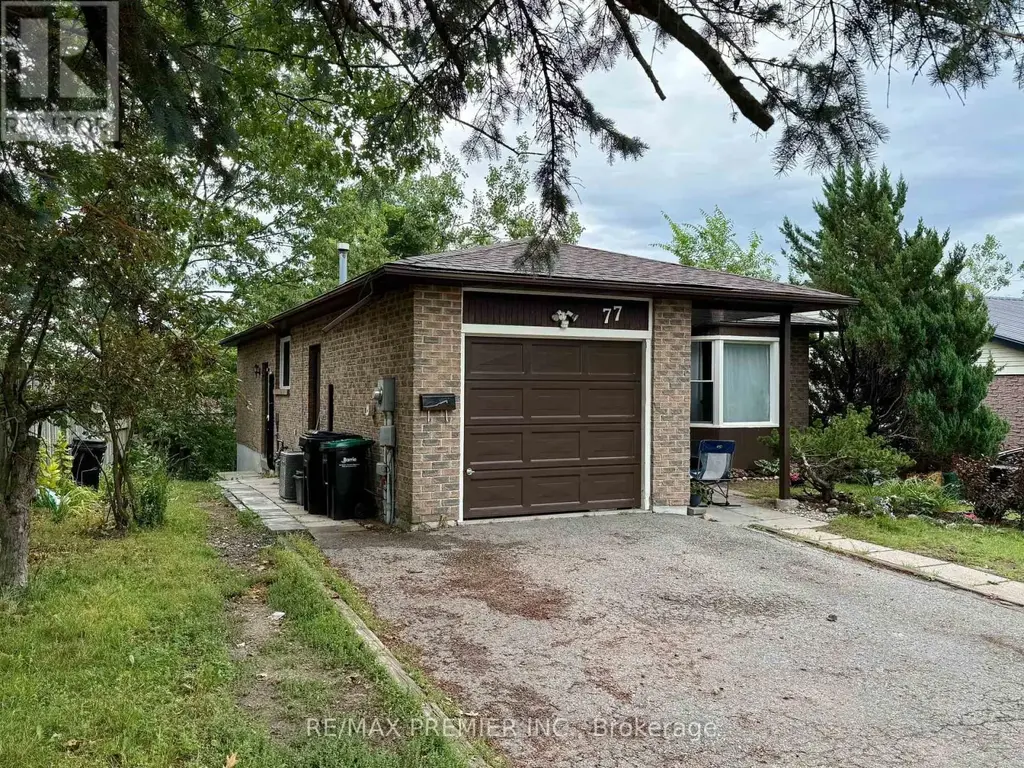 Bsmt - 77 Fox Run, Barrie (Letitia Heights)