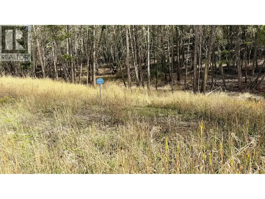 Lot 44 Mountain View Drive, Fairmont Hot Springs