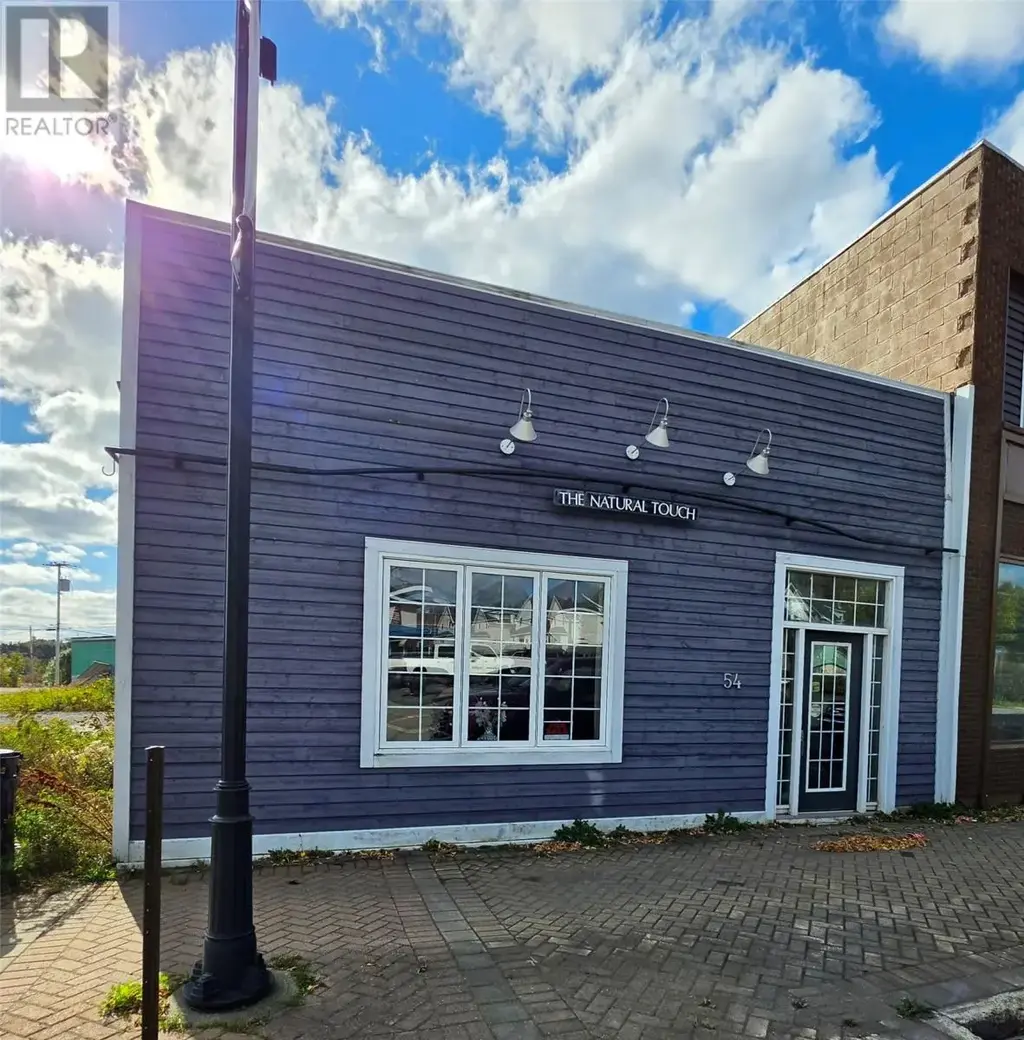 54 High Street, GRAND FALLS-WINDSOR