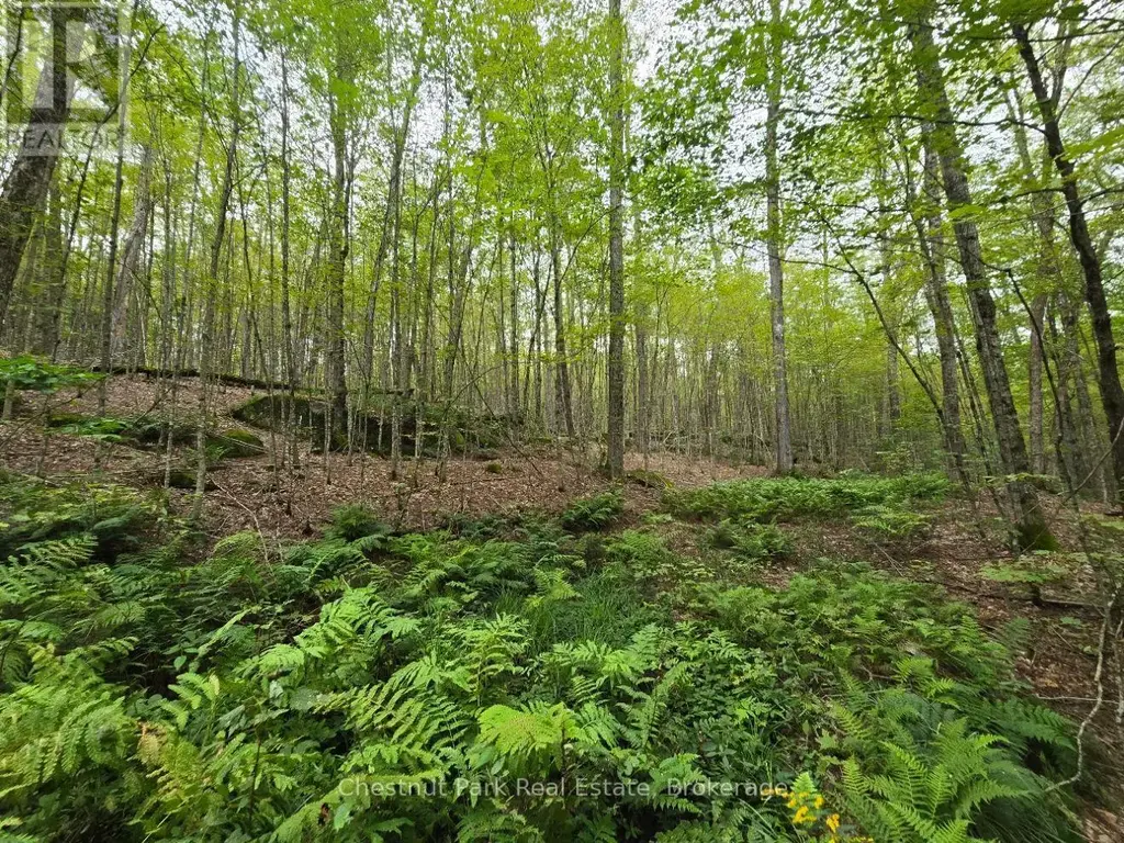 00 Old Track Road, Perry