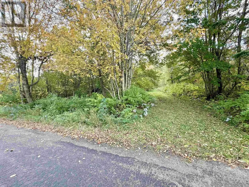 272 Welch Road, Forest Hill