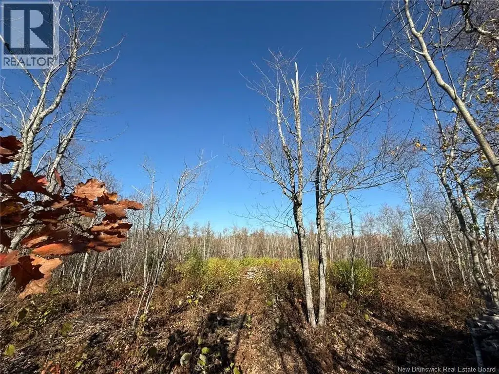 1.15 Acres Cowans Creek, Pokemouche