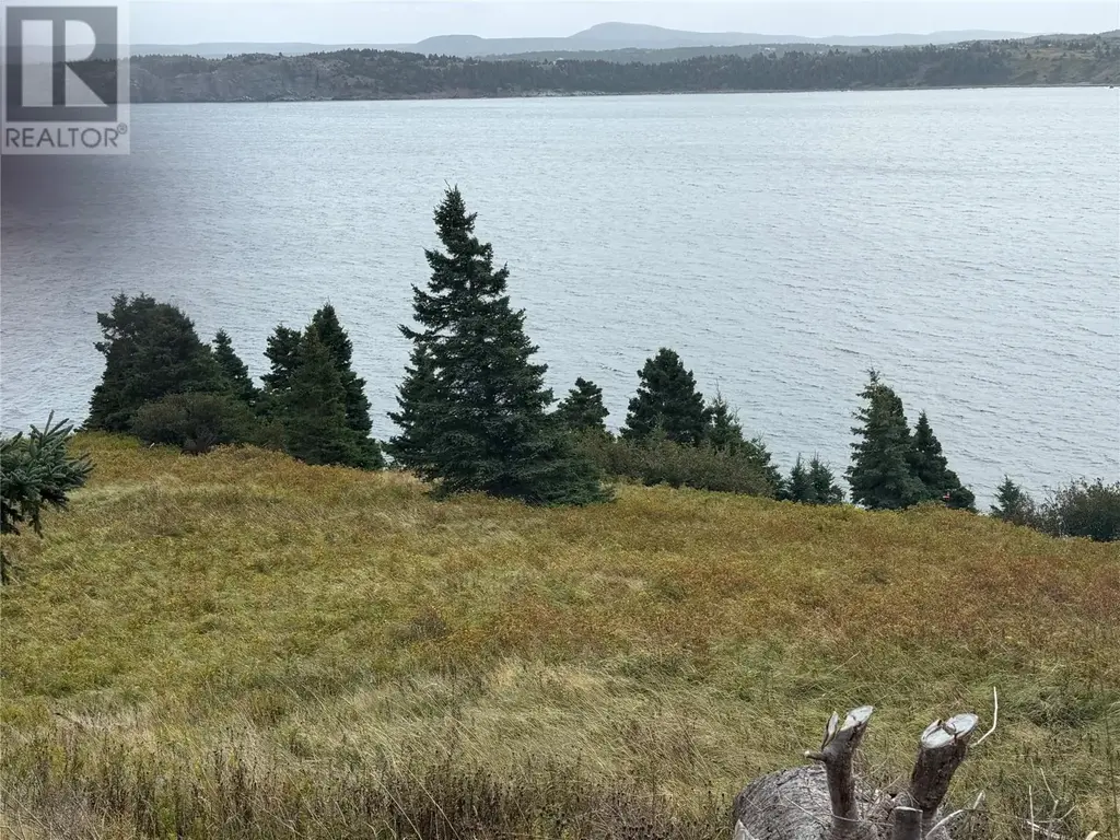 263a Corporal Jamie Murphy Memorial Drive, Conception Harbour
