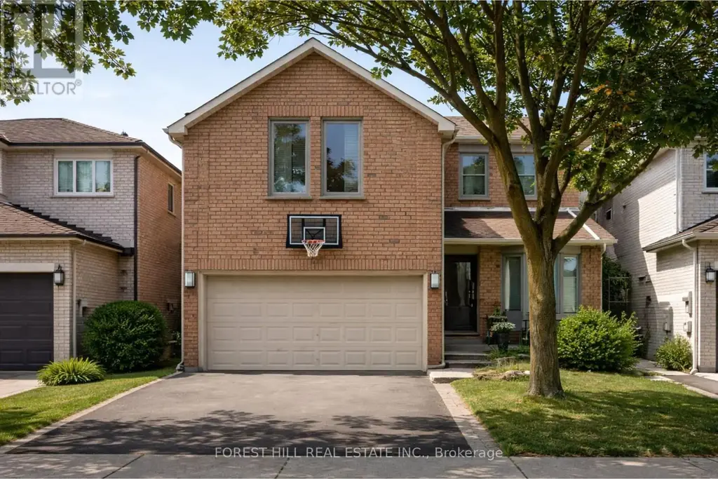 Bsmt - 136 Esther Crescent, Vaughan (Crestwood-Springfarm-Yorkhill)