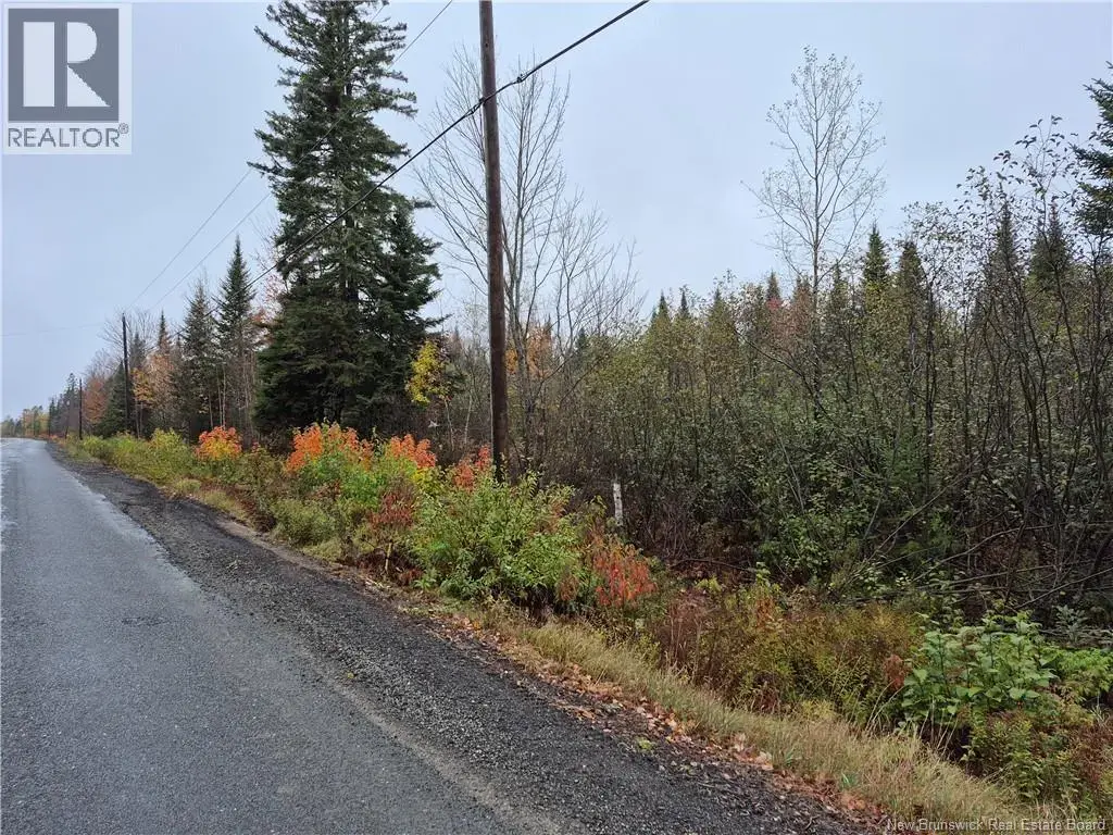 Kingsley Road, Kingsley
