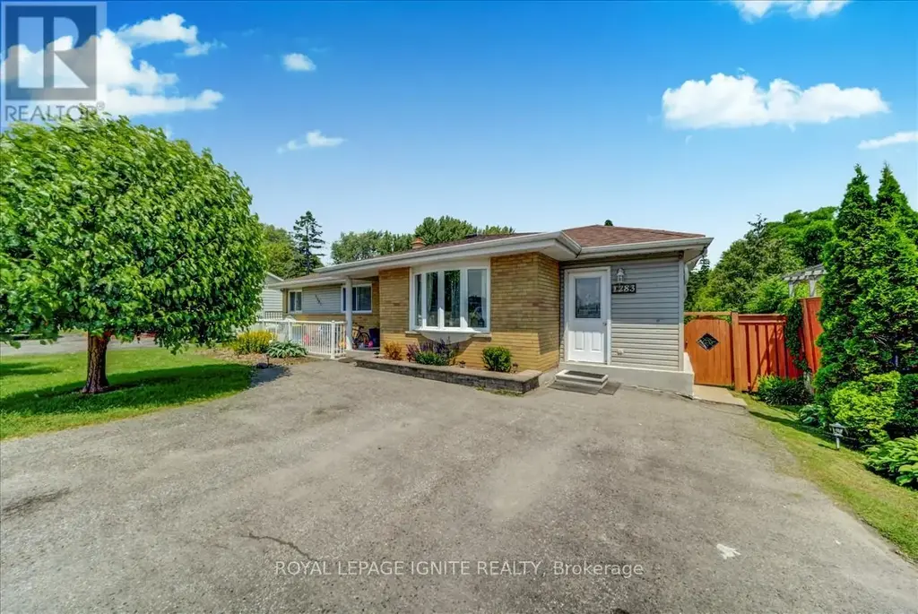 Bsmnt - 1283 Townline Road N, Clarington