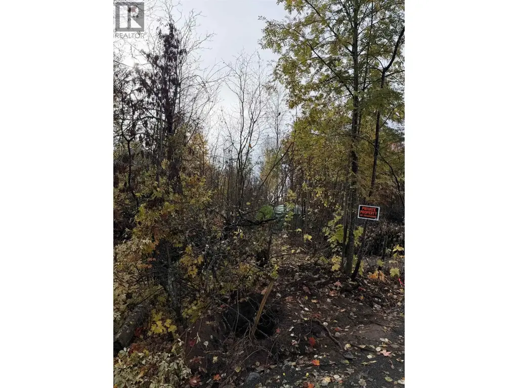 Lots 5&6 20th Avenue, Hazelton