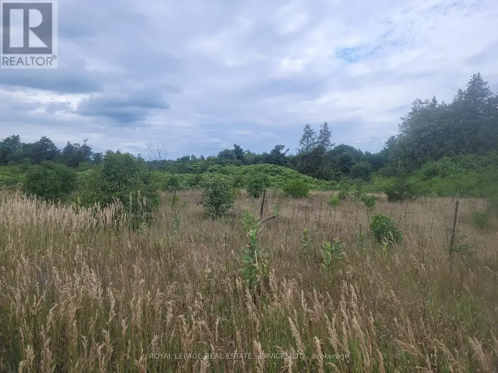 Lt 27 Pt 2 County Rd 10, Prince Edward County (South Marysburg Ward)