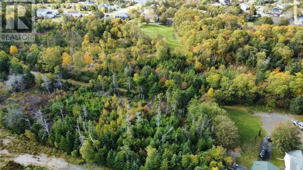 16 Calvin Manor Road, Conception Bay South