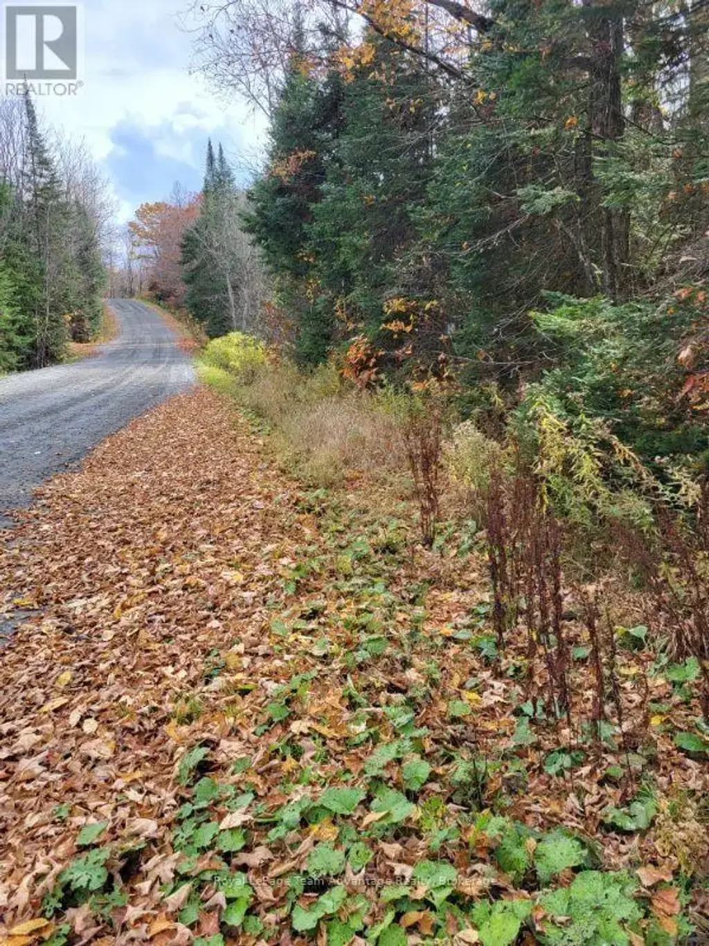 0 Haines Lake Road, McDougall