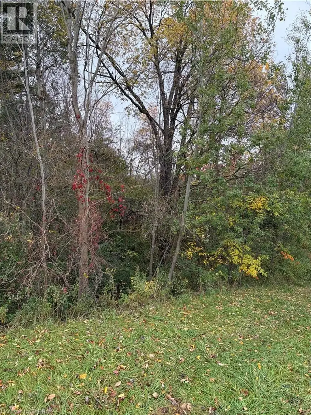 Pt Lot 27 Cedar Creek Concession, North Dumfries