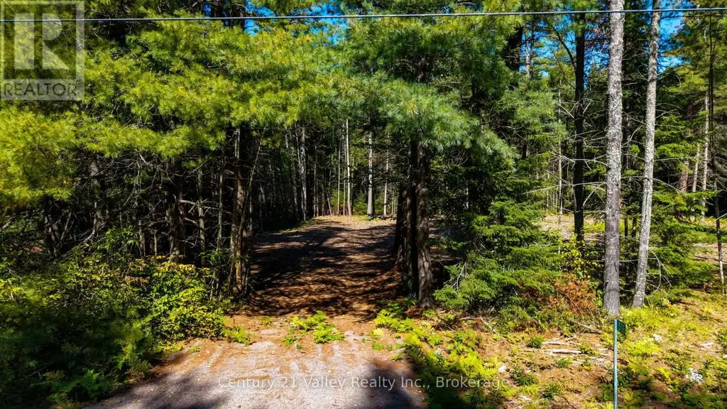536 Pine Street, Greater Madawaska