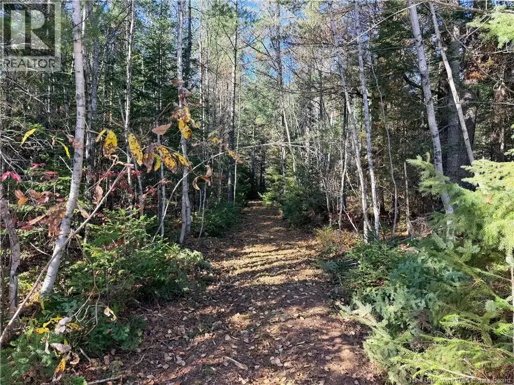 Lot 2 Route 112, Coles Island