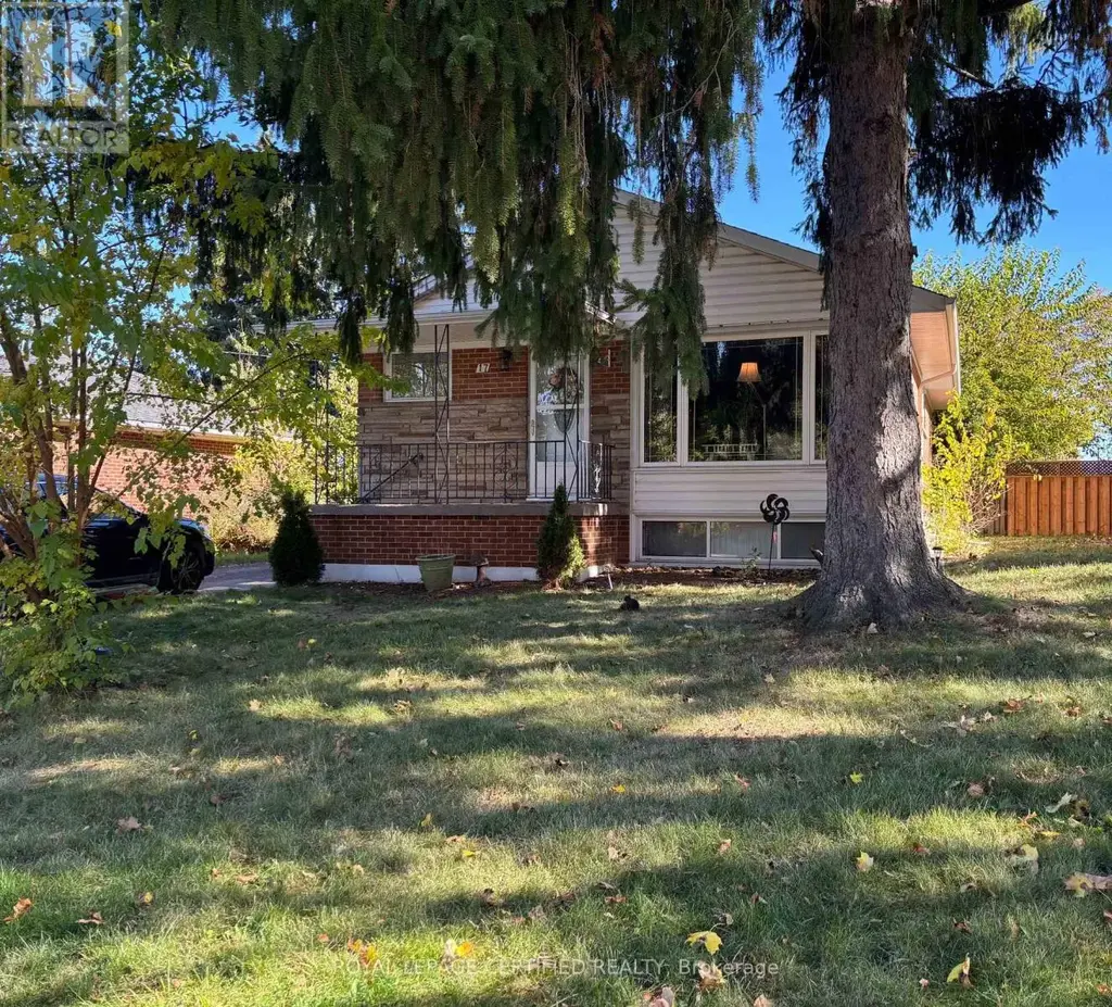 17 Carwyn Crescent, Hamilton (Ainslie Wood)