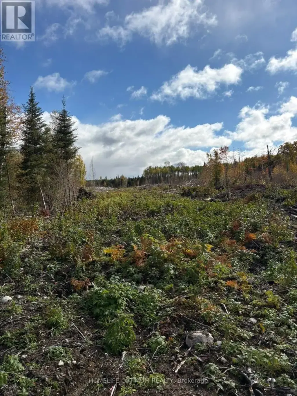 Pcl 3898 Bristol Township Mining Claim P. 8531, Timmins (MTJ - Mountjoy Rural)