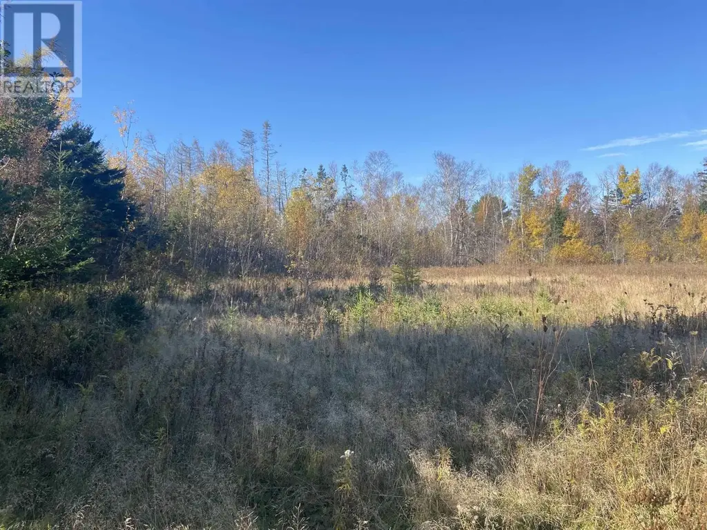 Acreage Route 17, Lower Montague