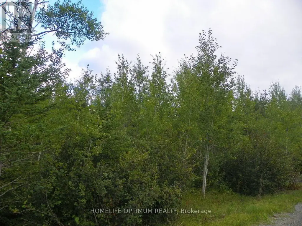 Pt 1 6r8933 Playfair Twp Blue Jay Road, Black River-Matheson (Matheson)
