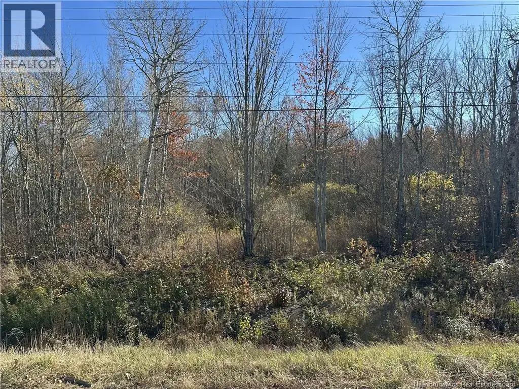 0 Route 105, Youngs Cove