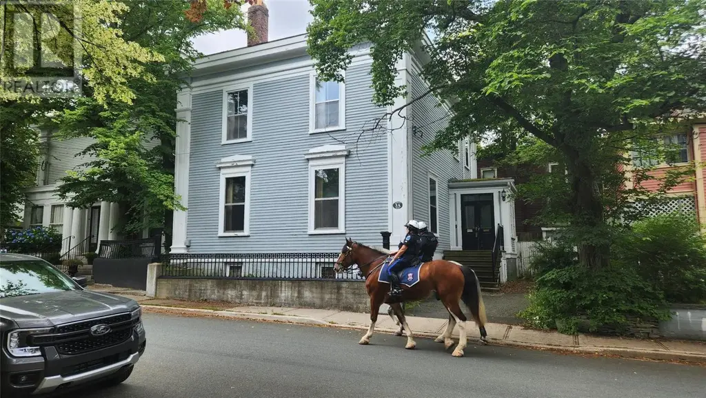 3a Forest Road, St. John's