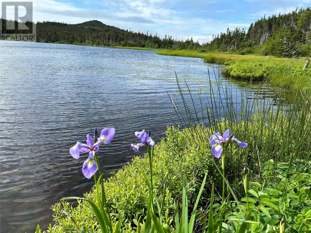 0 Farm Pond Road, Port Rexton