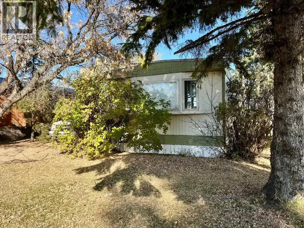5024 59 Avenue, Viking