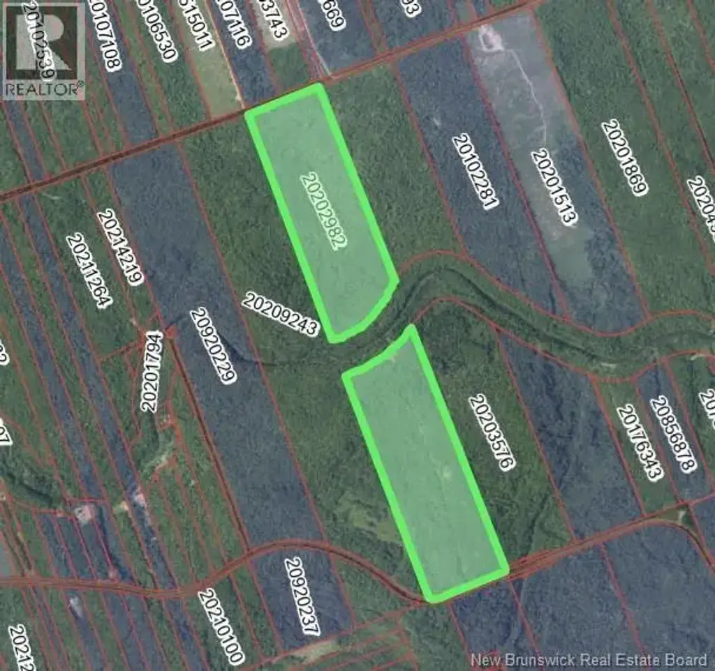 101 Acres Route 355, Bois-Blanc