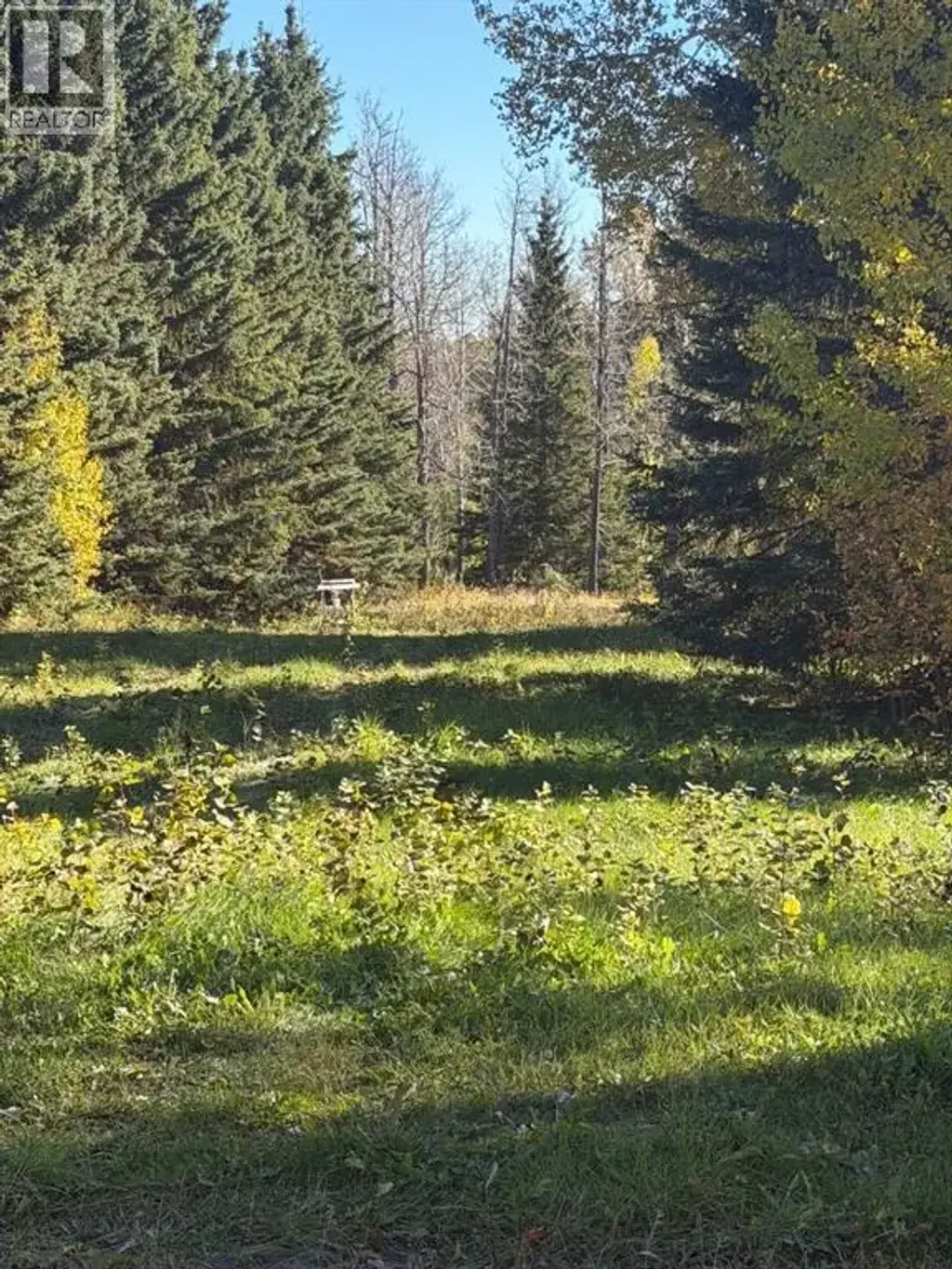 6015 Township Road 334, Rural Mountain View County