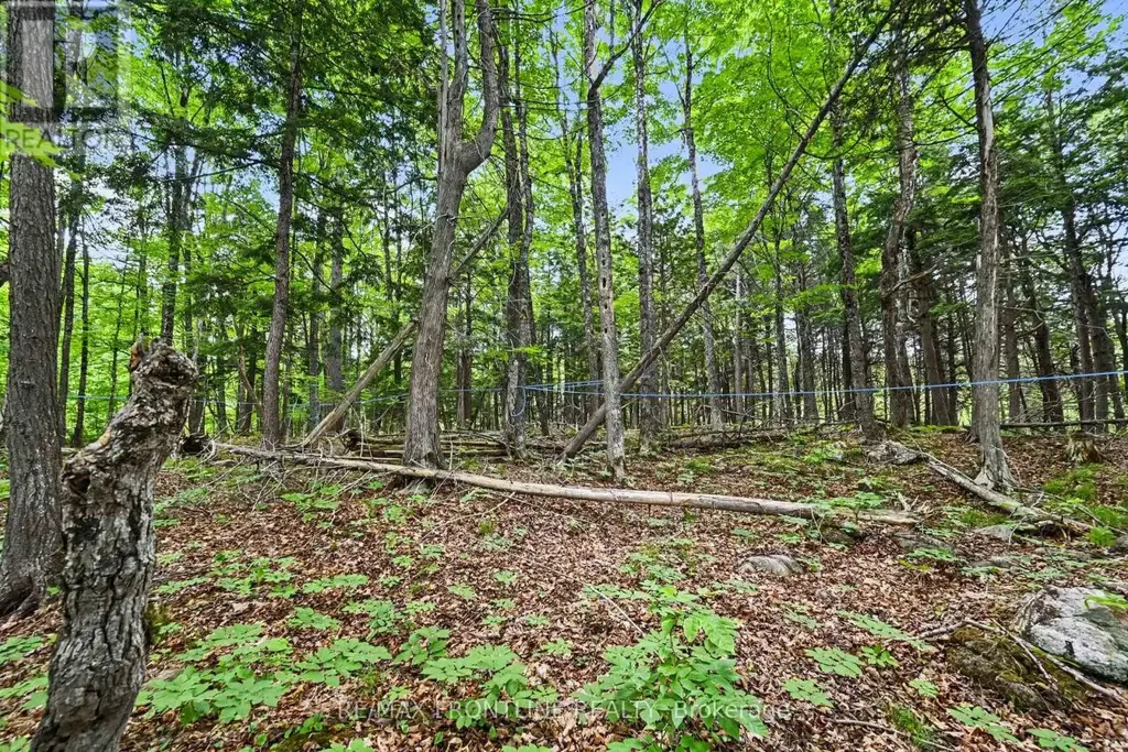 634 Concession 5a Dalhousie, Lanark Highlands