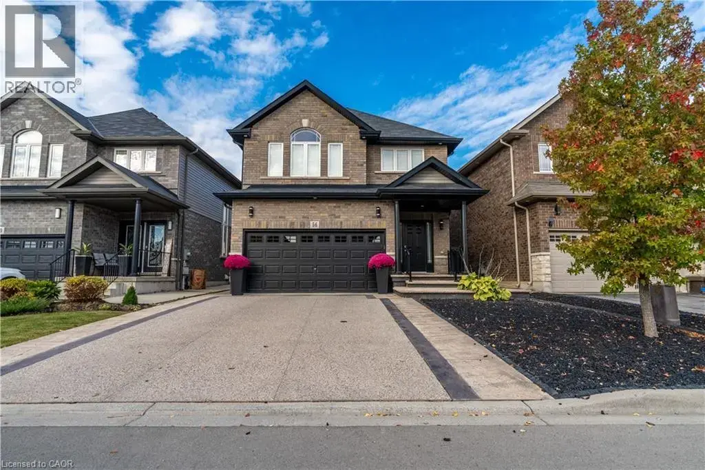 56 Colorado Boulevard, Hamilton