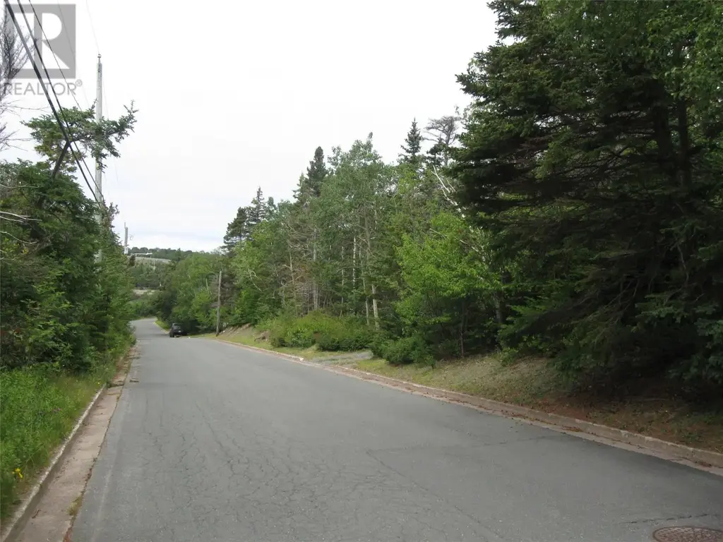 53 A Lawrence Pond Road E, Conception Bay South