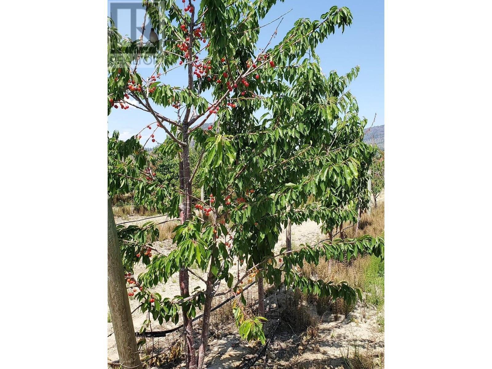 166 Park Rill Road. Oliver, British Columbia