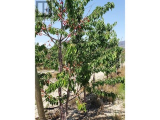 166 Park Rill Road. Oliver, British Columbia