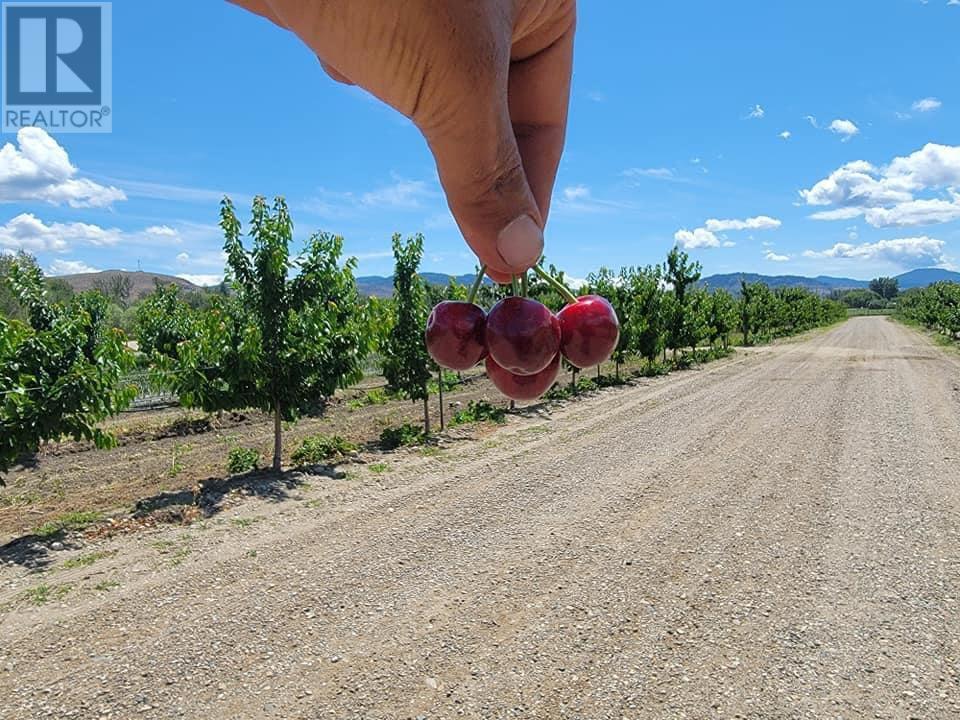 166 Park Rill Road. Oliver, British Columbia