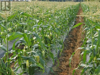 166 Park Rill Road. Oliver, British Columbia