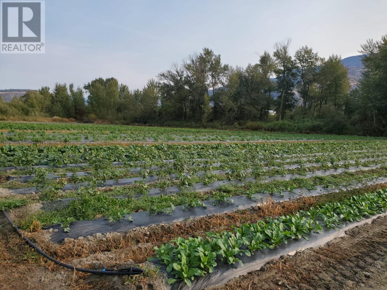 166 Park Rill Road. Oliver, British Columbia