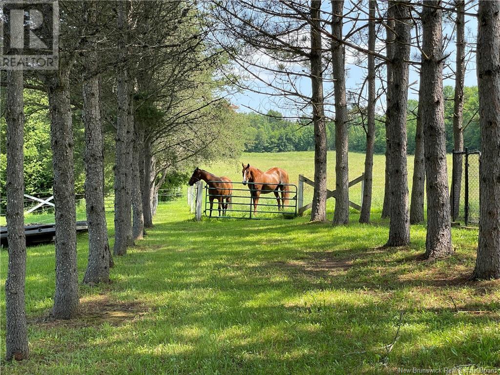 45 Harmony Lane, Burtts Corner Property Listing MLS® NB102332