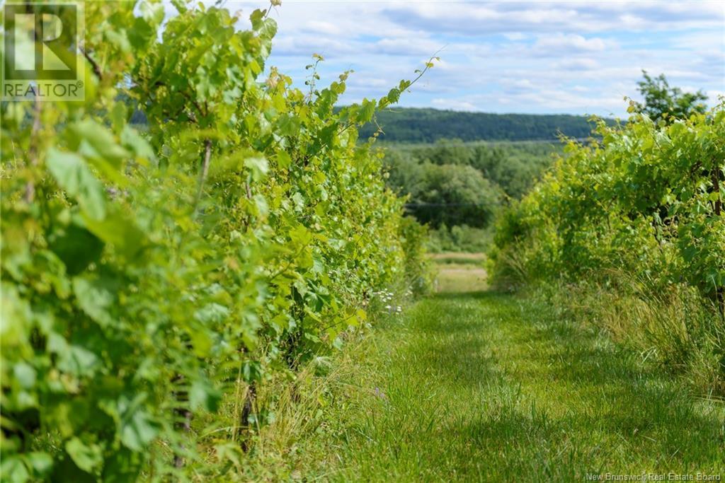 Photo of Listing #NB103203