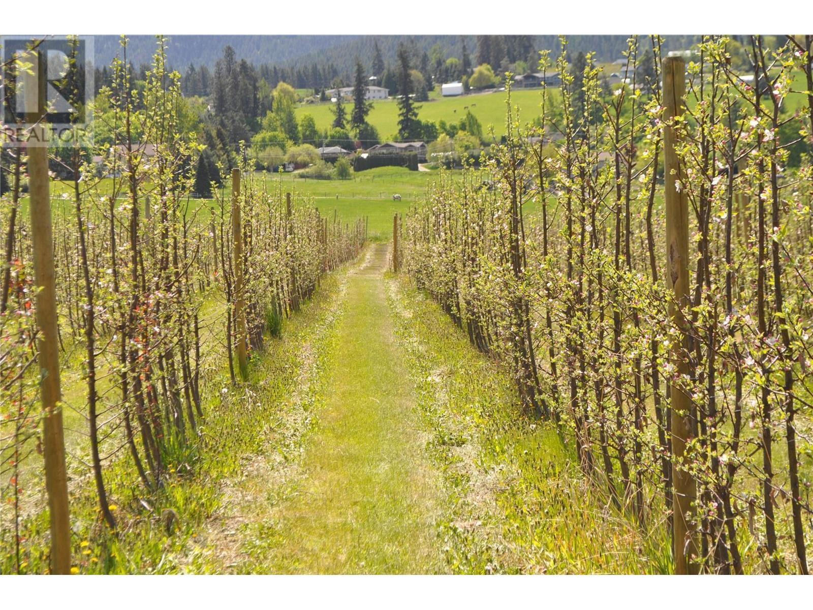 Lot 6 Springfield Road. Coldstream, British Columbia