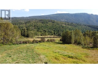 Lot 2 Oxbow Frontage Road. Malakwa, British Columbia