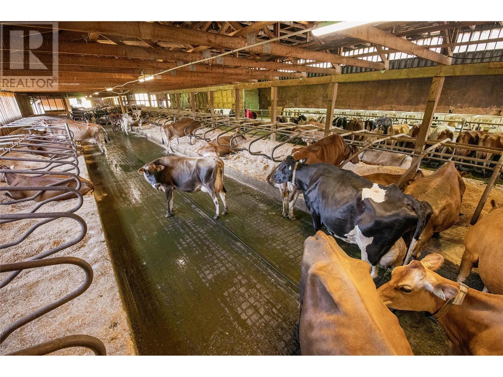 9982 97b Highway. Enderby, British Columbia