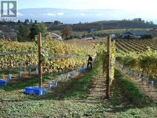 5214 Monro Avenue. Summerland, British Columbia