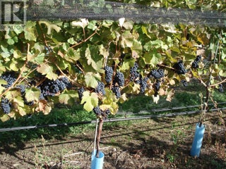 5214 Monro Avenue. Summerland, British Columbia